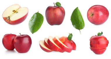 Taze kırmızı elma meyveleri ve yeşil yapraklar beyaz üzerine izole edilmiş, kolaj