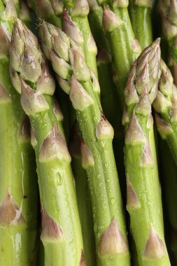 Arka plan olarak birçok taze ıslak kuşkonmaz mızrağı, üst görünüm