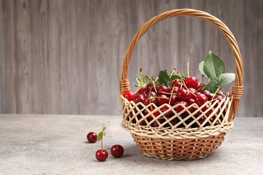 Islak olgun kirazlar sepetin içinde ışık masasında. Metin için boşluk
