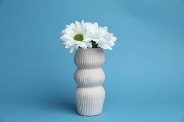 Açık mavi arkaplanda vazoda güzel beyaz kasımpatı çiçekleri