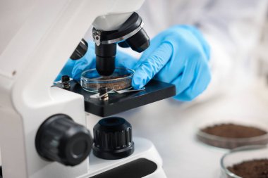 Bilimadamları laboratuarda, mikroskop altında toprak örneklerini inceliyor.