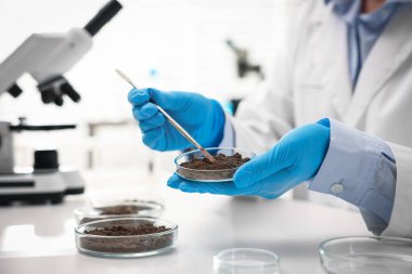 Bilim adamı, laboratuardaki beyaz masada araştırma yapmak için toprak örneği alıyor.