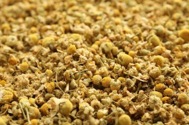 Arka plan olarak papatya çiçeklerini kurut, yakın görüntü