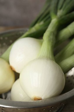 Masada taze taze taze taze soğan, yakın plan.