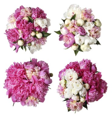 Beyaz arka planda güzel şakayık çiçekleri, kolaj. Üst görünüm