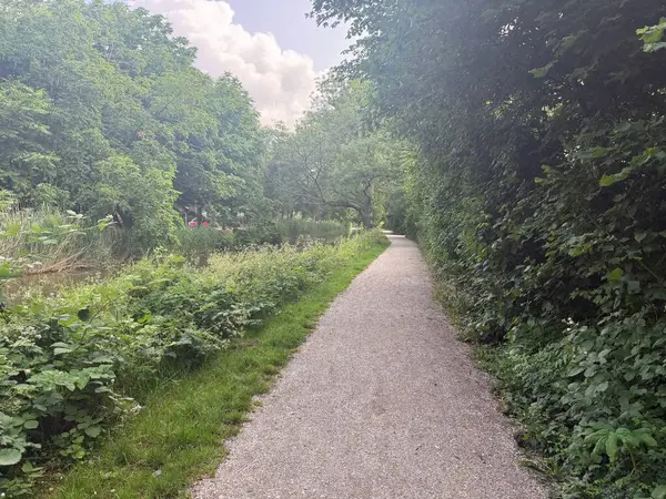 Parktaki patika ve ağaçların güzel manzarası