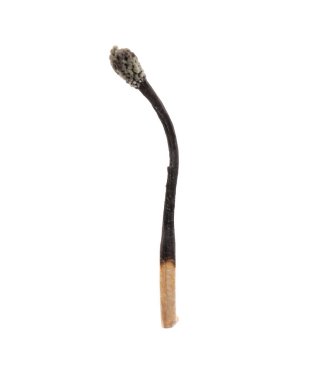 Yanmış bir kibrit beyazda izole edilmiş. Yangın başlatmak için araç