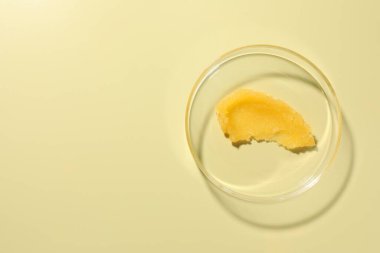 Petri kabında soluk sarı arka planda kozmetik ürünler, üst manzara. Metin için boşluk