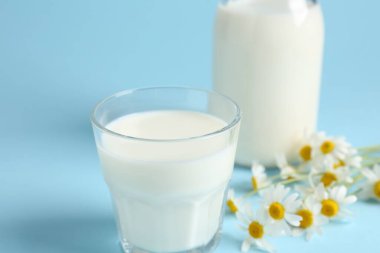 Açık mavi arkaplanda taze süt ve papatya çiçeği, yakın plan.