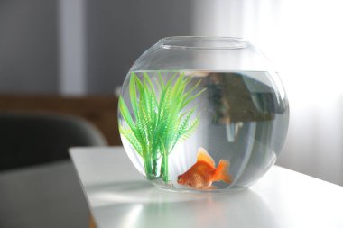 Yuvarlak akvaryumdaki güzel akvaryumdaki balıklar beyaz masa içinde.