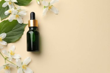 Temel yağ, güzel yasemin çiçekleri ve bej arka planda yeşil yapraklar. Metin için boşluk