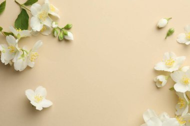 Güzel yasemin çiçekleri bej arka planda, düz yerde. Metin için boşluk