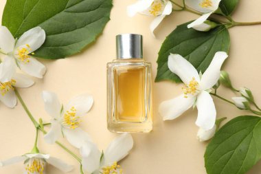 Bir şişe parfüm, güzel yasemin çiçekleri ve bej arka planda yeşil yapraklar.