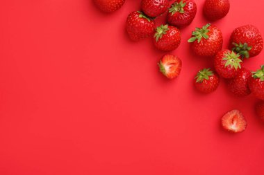 Kırmızı arka planda taze olgun çilekler, düz uzanmış. Metin için boşluk