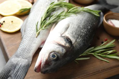 Baharatlı taze çiğ deniz kabuğu, yakın plan. Balık ve deniz ürünleri lezzetleri