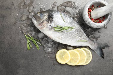 Taze çiğ dourade balığı, buz, limon dilimleri ve gri masada biberiye, düz. Organik deniz ürünleri