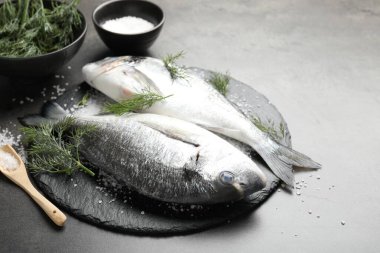 Organik deniz ürünleri. Taze çiğ dourade balığı, gri masada tuz ve dereotu, yakın plan.
