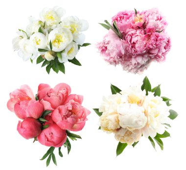 Beyaz arka planda güzel şakayık çiçekleri, kolaj. Üst görünüm