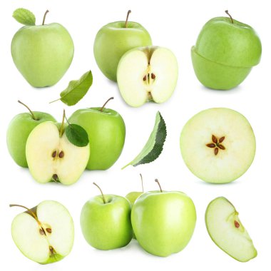 Taze yeşil elma meyveleri ve beyaz yapraklar, kolaj