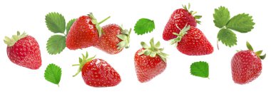 Beyaz arka planda taze çilek ve yeşil yapraklar.