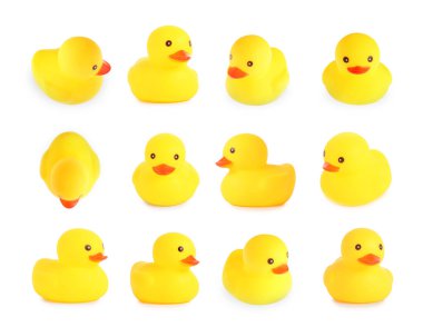 Beyaz arka planda sevimli lastik ördekler, kolaj.