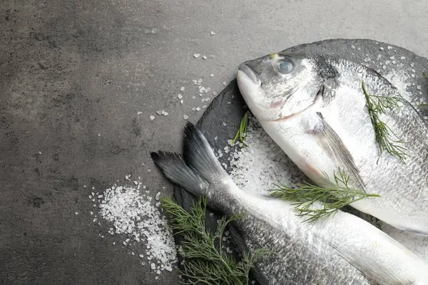 Organik deniz ürünleri. Taze çiğ dourade balığı, gri masada tuz ve dereotu, düz. Metin için boşluk