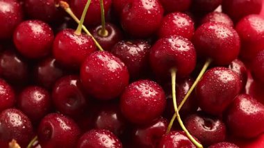 Olgun kirazların çoğu su damlalarıyla dönüyor.