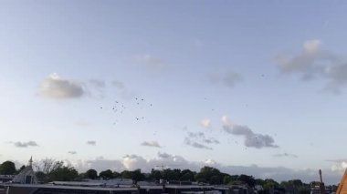 Güzel mavi gökyüzü ve şehrin üzerinde uçan kuşlar, alçak açı