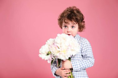 Pembe arka planda bir buket güzel şakayığı olan sevimli küçük bir çocuk. Metin için boşluk