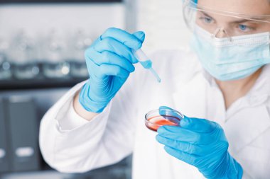 Laboratuvar ve seçici odak noktasında Petri kabında numuneyle çalışan bilim adamı