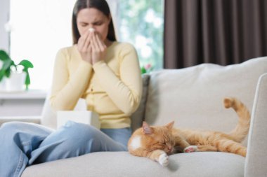 Evdeki kanepede kedisine alerjisi olan bir kadın, seçici bir şekilde odaklanmış.