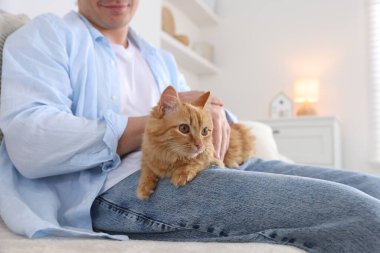 Evdeki kanepede sevimli kızıl kedili adam, yakın plan.