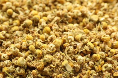 Arka plan olarak papatya çiçeklerini kurut, yakın görüntü