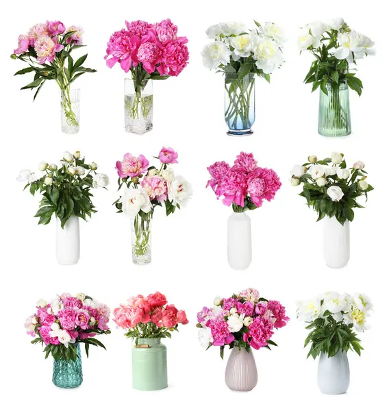 Beyaz vazolardaki şakayık buketleri.