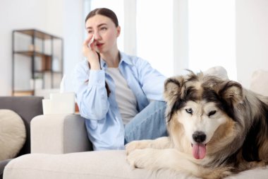 Evde köpeğine alerjisi olan seçici odaklı bir kadın.