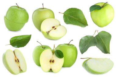 Taze yeşil elma meyveleri ve beyaz yapraklar, kolaj