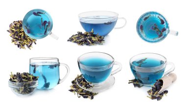 Kelebek bezelye çiçeği çayı beyaza izole edilmiş, tamam. Üst ve yan görünüm