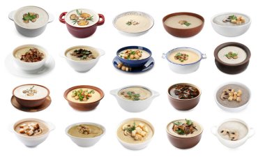 Beyaz arka planda lezzetli mantar çorbaları, kolaj.