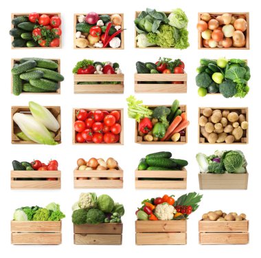 Beyaz arka planda tahta sandıklarda farklı taze sebzeler, kolaj.