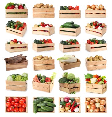 Beyaz arka planda tahta sandıklarda farklı taze sebzeler, kolaj.