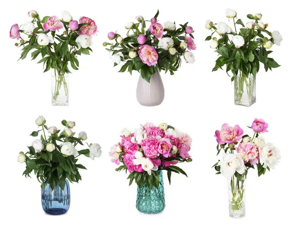 Beyaz vazolardaki şakayık buketleri.