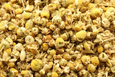 Arka plan olarak papatya çiçeklerini kurut, yukarıdan bak.