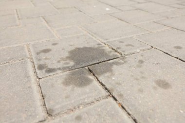 Asfaltlı yolda motor yağı lekeleri, yakın plan.