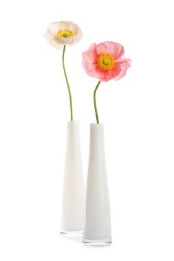 Beyaz vazolardaki güzel gelincik çiçekleri