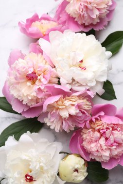 Güzel şakayıklar ve yeşil yapraklar beyaz mermer masada, düz yatıyordu.