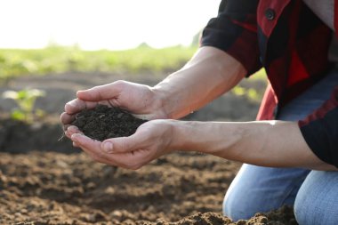 Tarlada toprak yığını tutan adam, yakın plan.