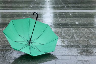 Islak asfalt üzerinde yeşil şemsiye, metin için boşluk