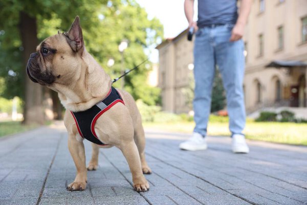 Man with his cute French bulldog in park, closeup