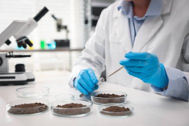 Bilim adamı, laboratuardaki beyaz masada araştırma yapmak için toprak örneği alıyor.