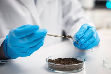 Bilim adamı, laboratuardaki beyaz masada araştırma yapmak için toprak örneği alıyor.
